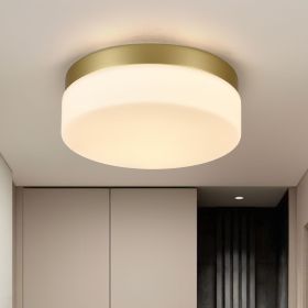 1 PACK LED Flush Mount Ceiling Light Fixture
