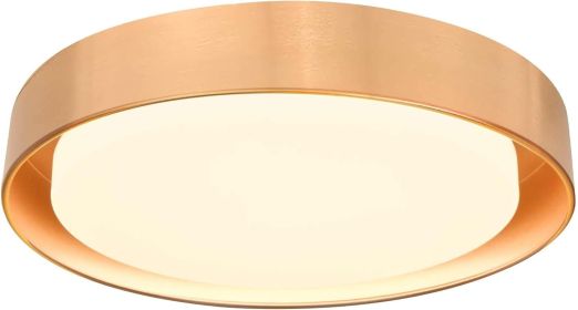 Hlite 13 inch Ceiling Light Fixture,Gold LED Flush Mount Ceiling Light, 3000K/Warm White/24W